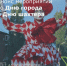 Анонс мероприятий ко Дню города и Дню шахтера - Город Зверево