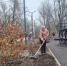 В Зверево прошел Общеобластной субботник - Город Зверево